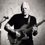 David Gilmour at 80: A Journey Through Sound and Soul